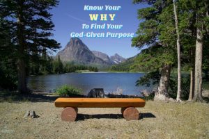 Know Your Why Feature to Find Your God-Given Purpose with free workbook by Maria Bowie at build alliance